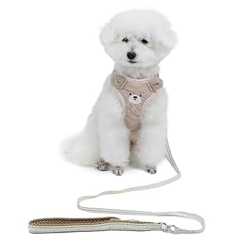 いぬ① ラブラドール・レトリーバー 01S-M03 / 01C-M03 – JEKCA-SHOP